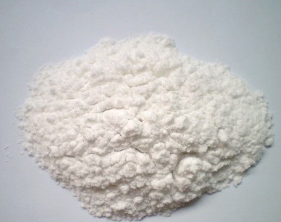 OLYMPUS DIGITAL CAMERA 6-APDB